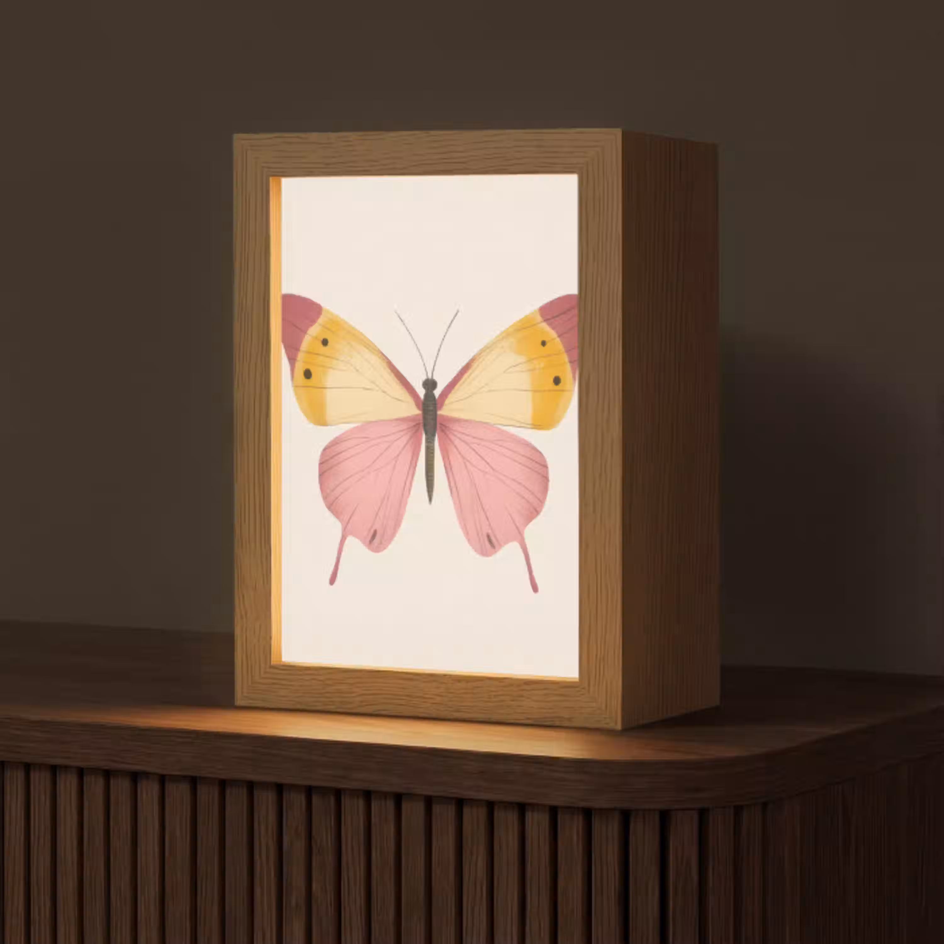 Vlinder - Illustratie - Roze Light Box met kabel (Tafellamp) klein -z3d_website