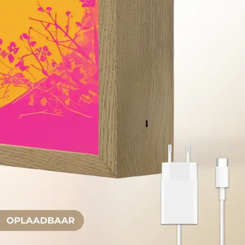 Bloemen - Vrouw - Kimono - Roze Light Box met batterij (Wandlamp) middel -USP_websiteoplaadbaarNL