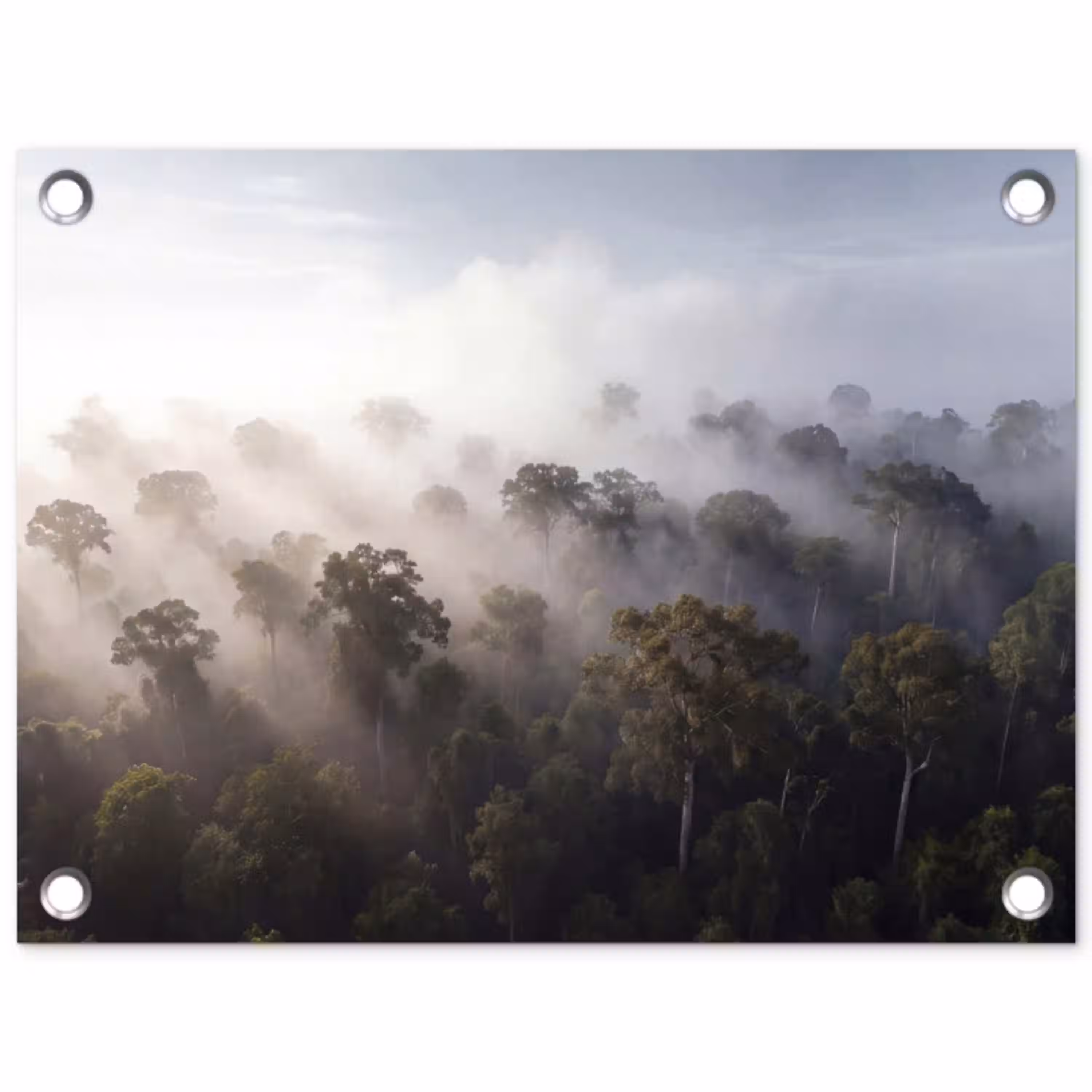 Bos - Mist - Natuur - Groen tuinposter los doek klein -3d