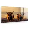 Schotse hooglanders - Heide - Landschap - Dieren plexiglas 5mm klein -zzzproduct_nieuw