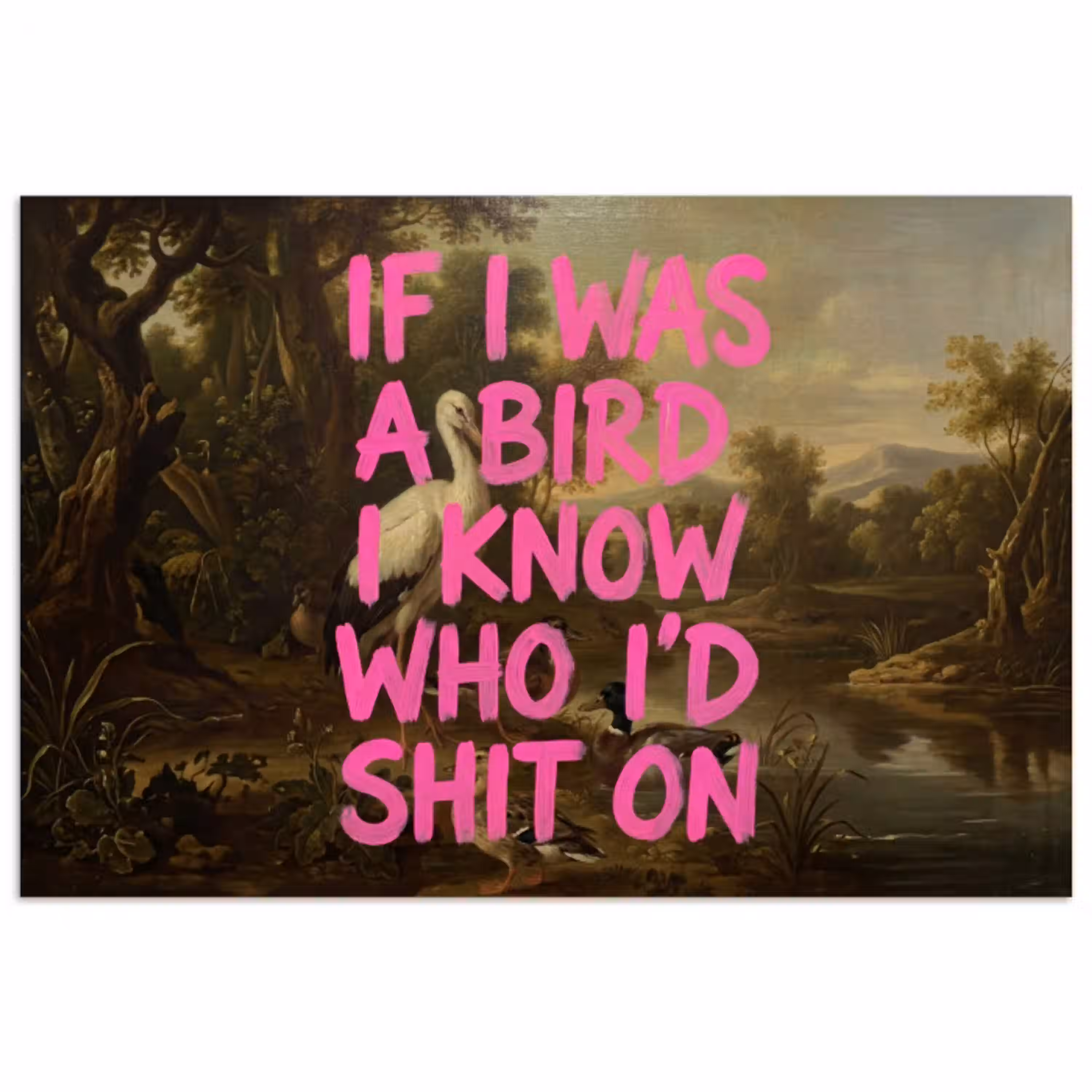 Klassiek - Humor - Roze poster papier klein -3d