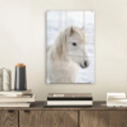 Paard - Kop - Winter - Dieren - Wit plexiglas 5mm klein -sfeer1