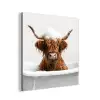Schotse Hooglander - Bad - Koe - Dieren - Schuim aluminium wit klein -3d