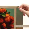 Vrouw - Frambozen - Bladeren Light Box met batterij (Wandlamp) middel -USP_websiteprintNL