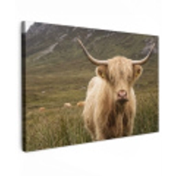 Schotse hooglander - Bergen - Grasveld Tuinposter op houten frame 2 cm dik klein -3d