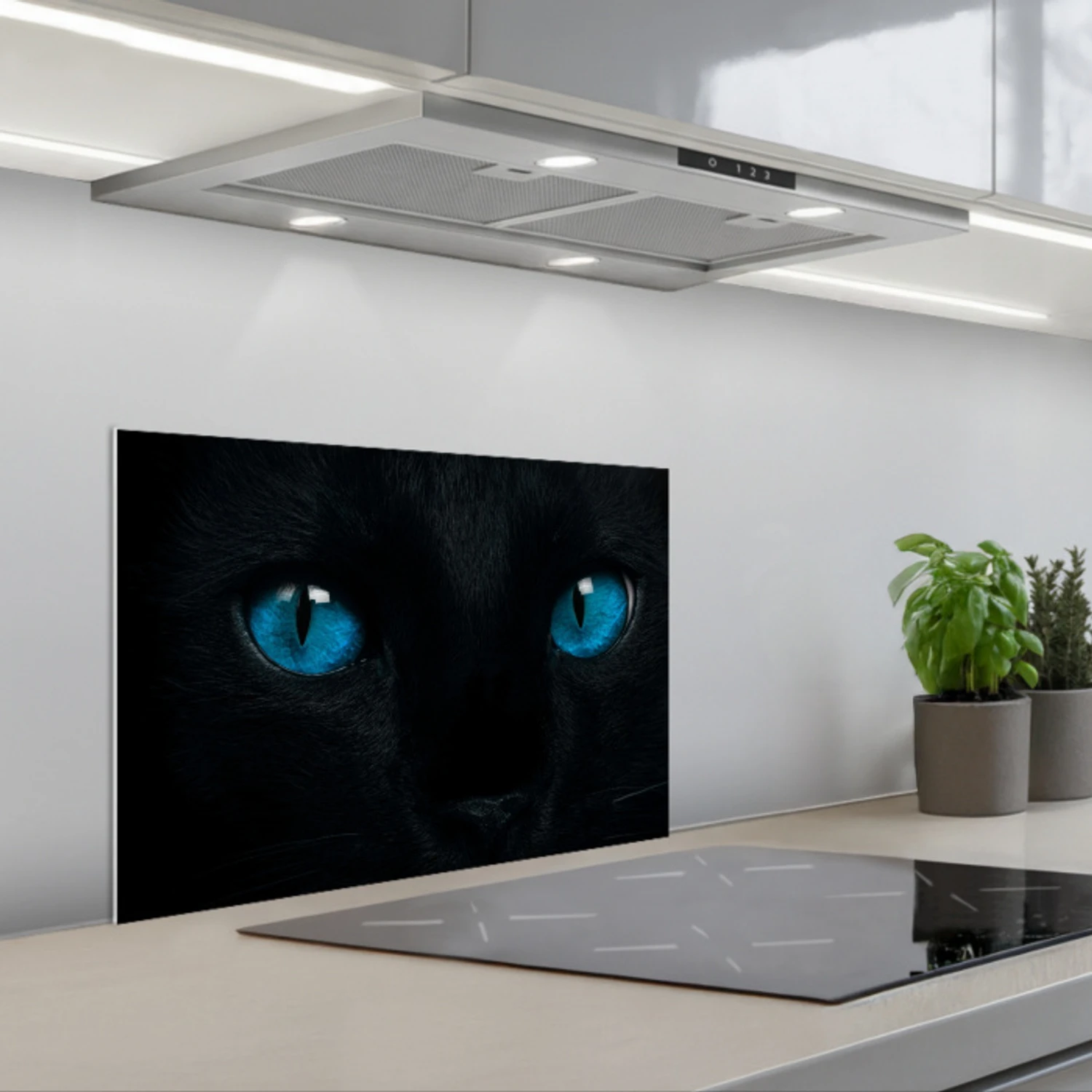 Kat - Blauw - Dier - Zwart keuken achterwand spatscherm klein -3d_schuin