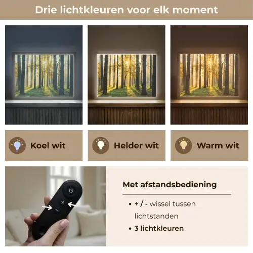 Bos - Zon - Bomen - Gras - Landschap  - Natuur Light Box met batterij (Wandlamp) middel -USP_lichtkleurNL