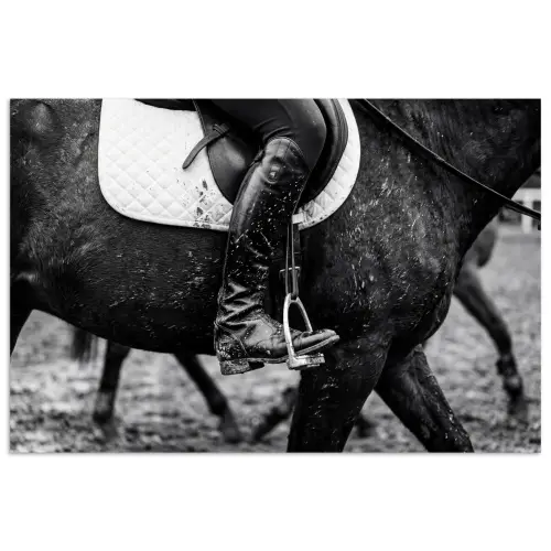 Paard - Sport - Zwart - Wit poster papier klein -3d