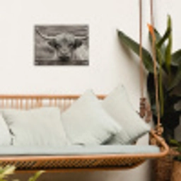 Schotse hooglander - Zwart - Wit - Hout tuinposter los doek klein -sfeer7