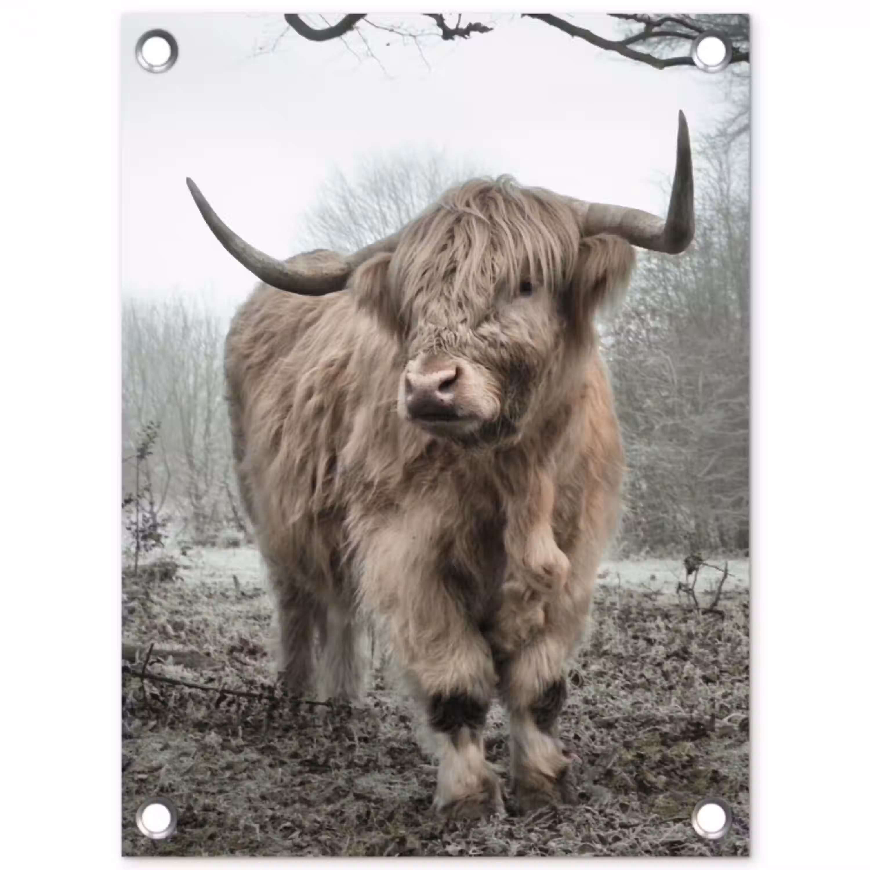 Hooglander in de Mist tuinposter los doek klein -3d