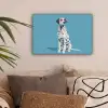 Dalmatiër - Zonnebril - Blauw canvas 2cm klein -sfeer1