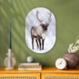 Rendier - Gewei - Toendra - Sneeuw - Wild Wandcirkel Ovaal Forex klein -sfeer2