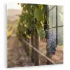 Druiven - Wijngaard - Zonlicht plexiglas 5mm klein -zzzproduct_nieuw