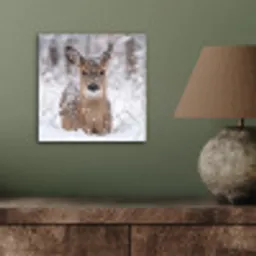 Hert - Sneeuw - Bos - Dieren - Vertederend aluminium wit klein -sfeer2