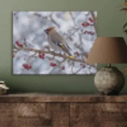Pestvogel - Bessen - Winter - Natuur PET vilt klein -sfeer2