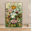 Planten - Natuur - Bloemen - Ernst Haeckel canvas 2cm klein -sfeer1