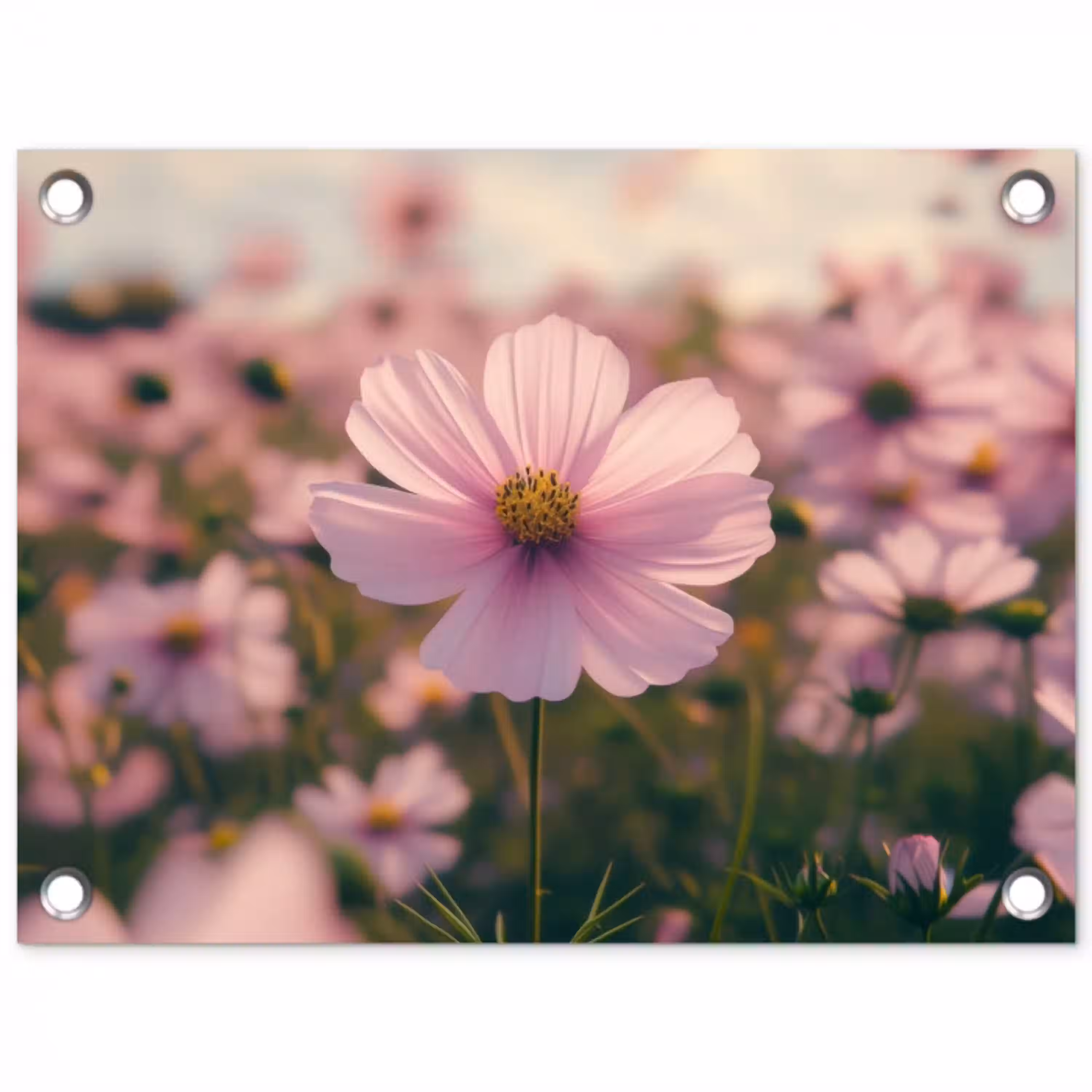 Bloemen - Paars - Wazig tuinposter los doek klein -3d
