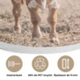Texas Longhorn - Kalf - Weide - Dieren Akoestische PET Vilt - Rond klein -closeup_FR