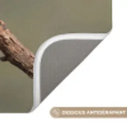 Papagaai - Tak - Natuur - Kleurrijk Badmat klein -USP_AntislipFR
