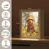 Bever - Dier - Bouwhelm - Natuur Light Box met kabel klein -USP_NL