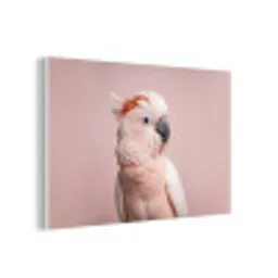 Kaketoe - Portret - Roze forex 5mm xxl -3d