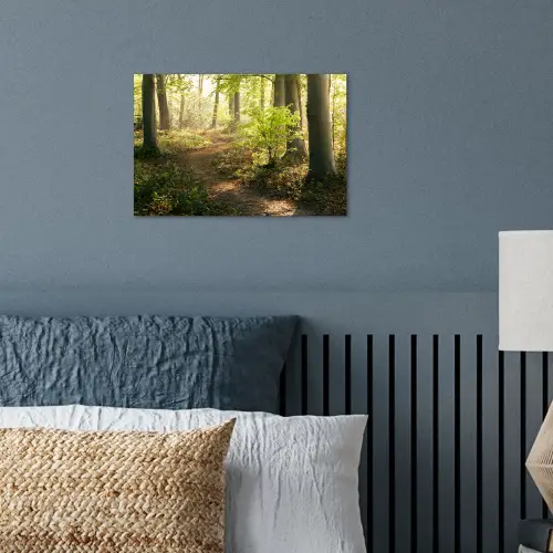 Bos - Bomen - Pad - Zon - Planten - Bladeren - Natuur poster papier klein -sfeer2