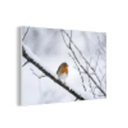 Roodborstje - Tak - Sneeuw - Winter - Levendig forex 5mm xxl -3d