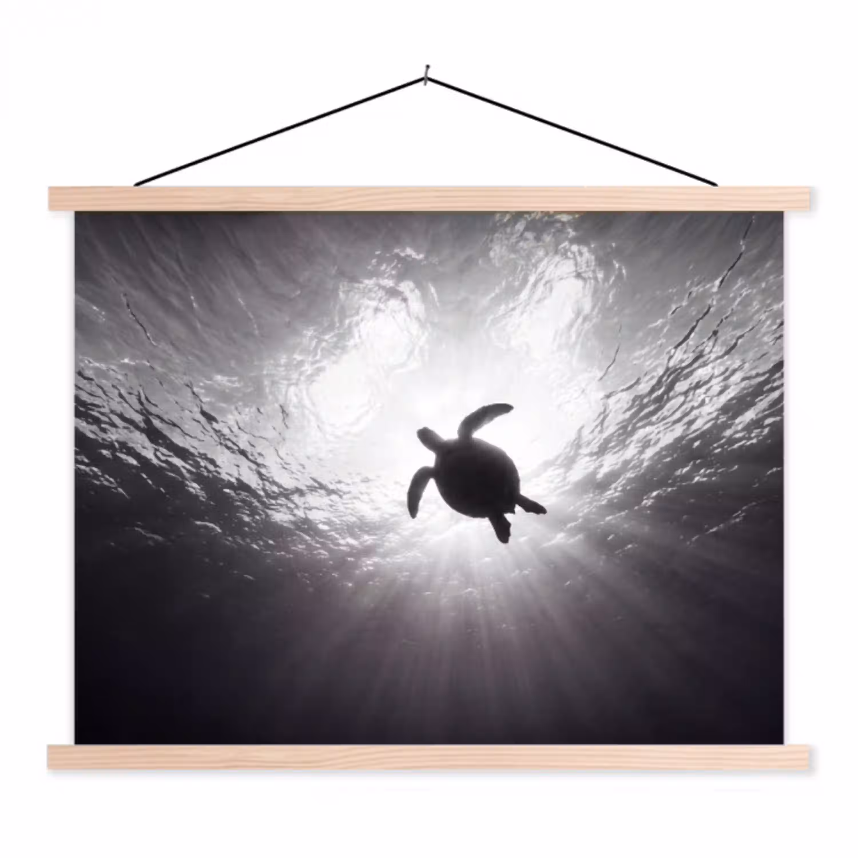 Schildpad - Onderwater - Lichtstralen - Oceaan - Zwart-wit textielposter latten blank klein -3d