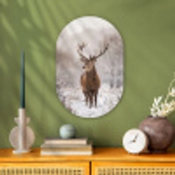 Edelhert - Bos - Sneeuw - Winter - Majestueus Wandcirkel Ovaal Forex klein -sfeer2