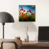 Klaprozen - Toscane - Zon - Rood - Blauw aluminium wit klein -sfeer5