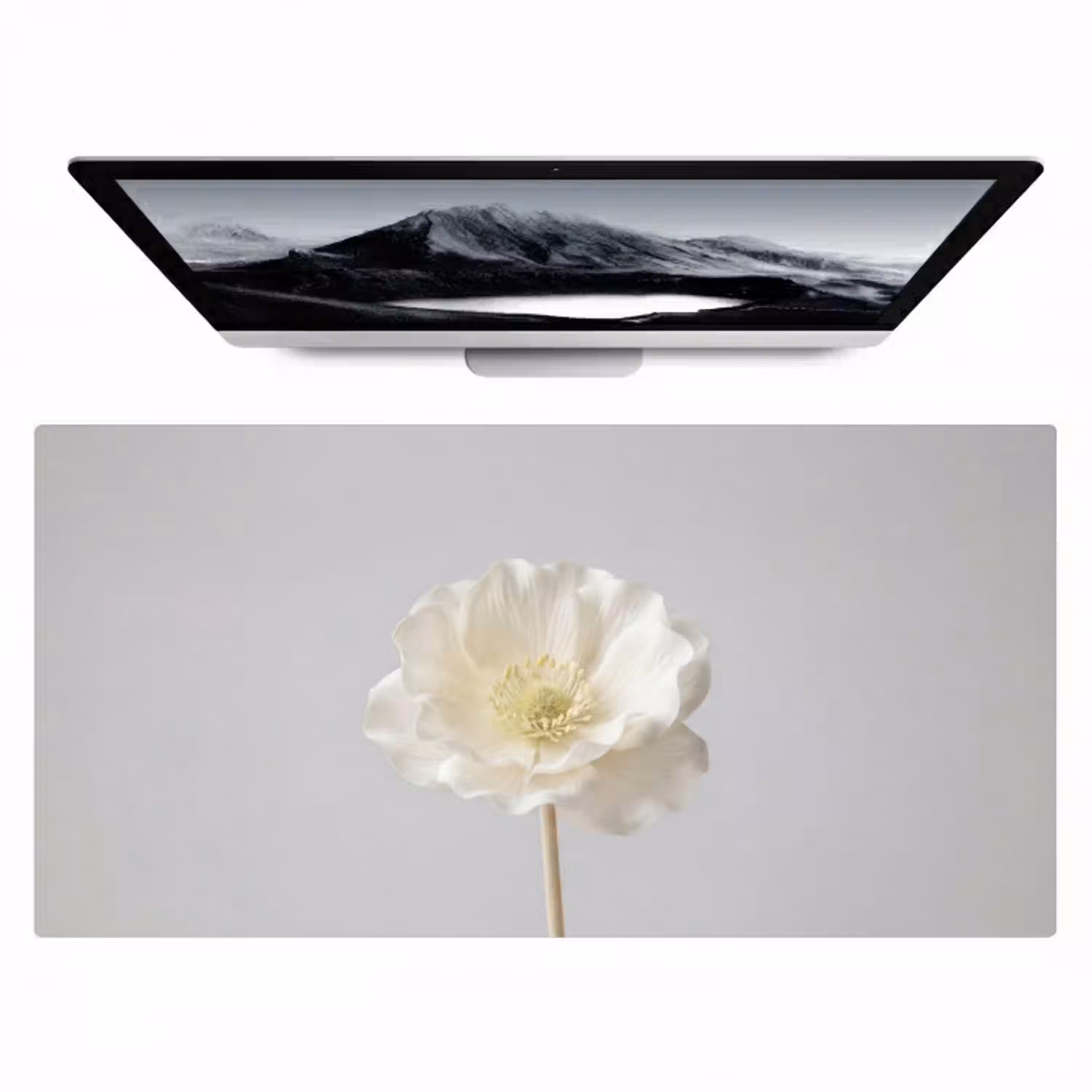 Bloem - Minimalistisch -Wit Muismat XXL klein -zzz3d