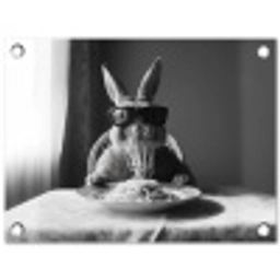Konijn - Bunny - Zonnebril - Tafelkleed - Pasta - Schattig tuinposter los doek klein -3d