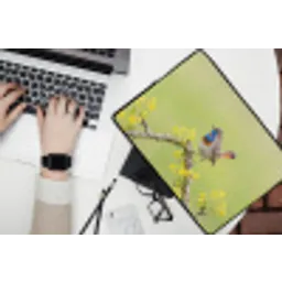 Vogel - Tak - Natuur - Kleurrijk laptophoes neopreen klein -bureau