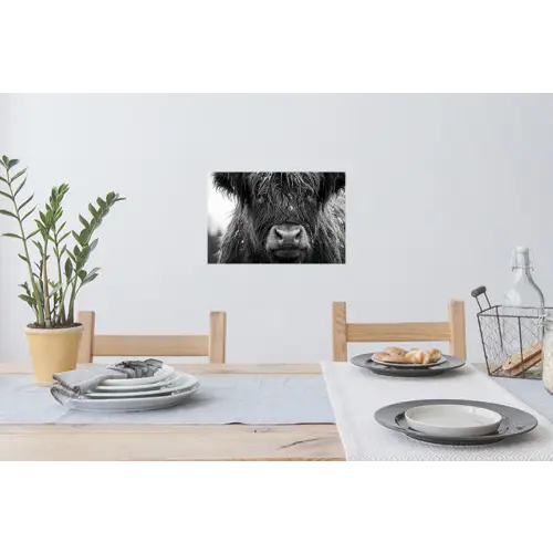 Schotse hooglander - Zwart - Wit - Sneeuwvlokken Muursticker klein -eettafel