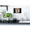 Meisje - Kunst - Paraplu - Graffiti - Kleuren - Muur Muursticker klein -keuken