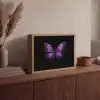 Vlinder - Paars - Levendig Light Box met batterij (Wandlamp) middel -sfeer2