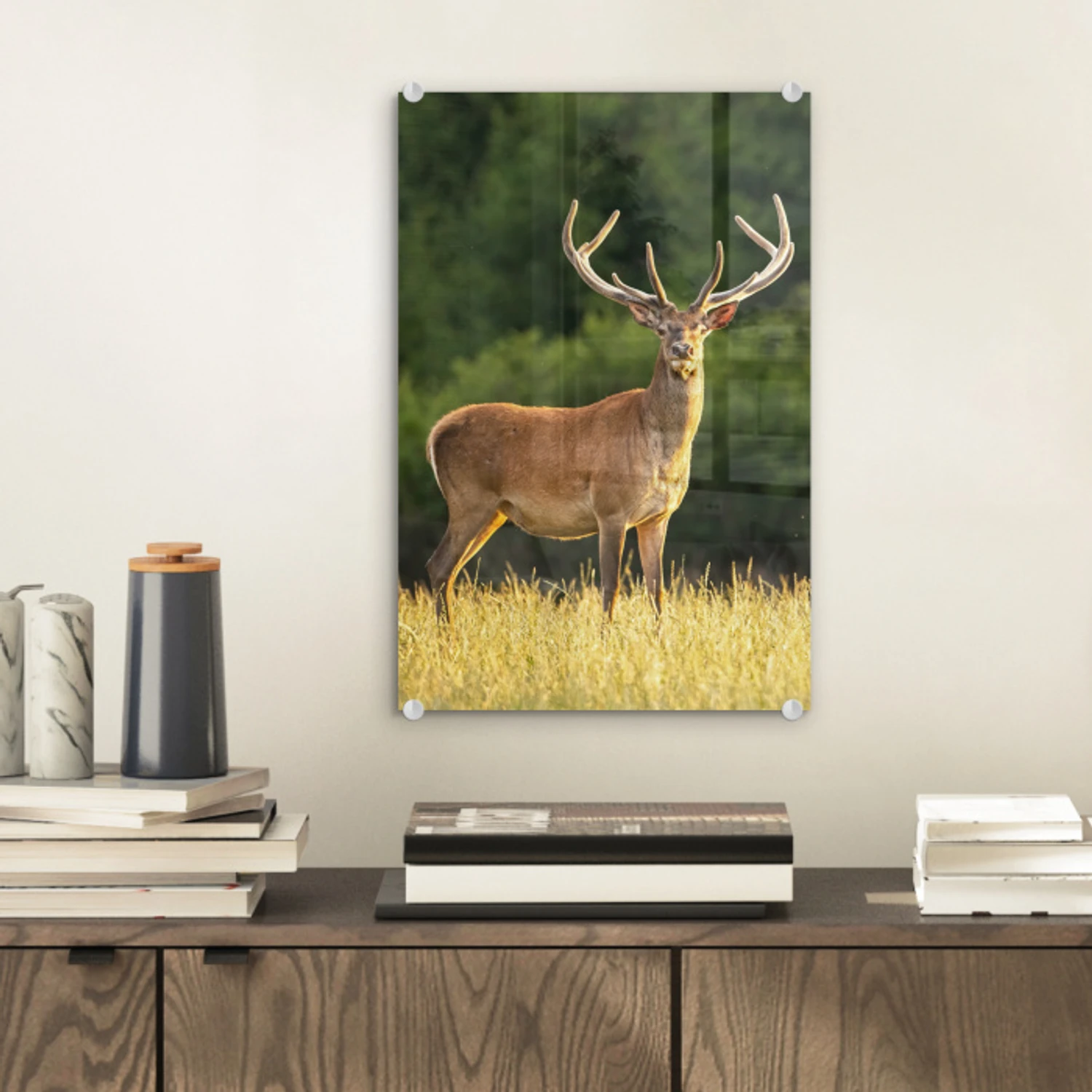 Hert - Gewei - Gras - Natuur - Dieren - Groen plexiglas 5mm klein -sfeer1