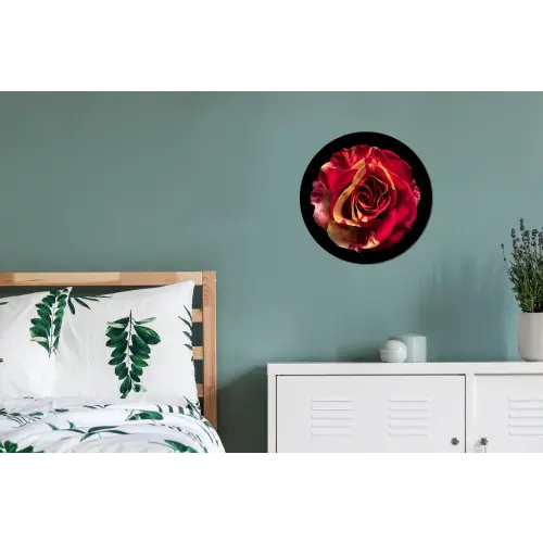 Bloem - Roos - Rood - Zwart Wandcirkel aluminium klein -slaapkamer