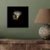 Vogel - Adelaar - Roofvogels - Oog - Snavel - Licht aluminium wit klein -sfeer2