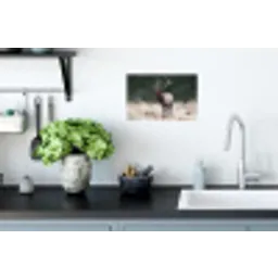 Edelhert - Gewei - Schildering - Rustiek Muursticker klein -keuken