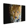 Luipaard - Dieren - Portret - Wilde dieren - Zwart canvas 2cm klein -z3d