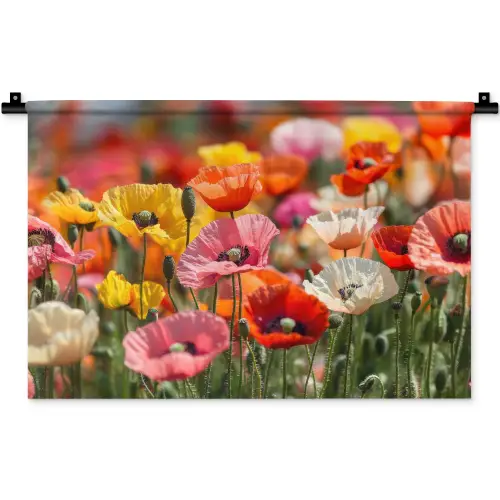 Bloemenveld - Klaprozen - Kleurrijk Wandkleed katoen klein -zz3d