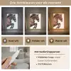 Paard - Springen - Modern Light Box met kabel (Tafellamp) klein -USP_lichtkleurNL