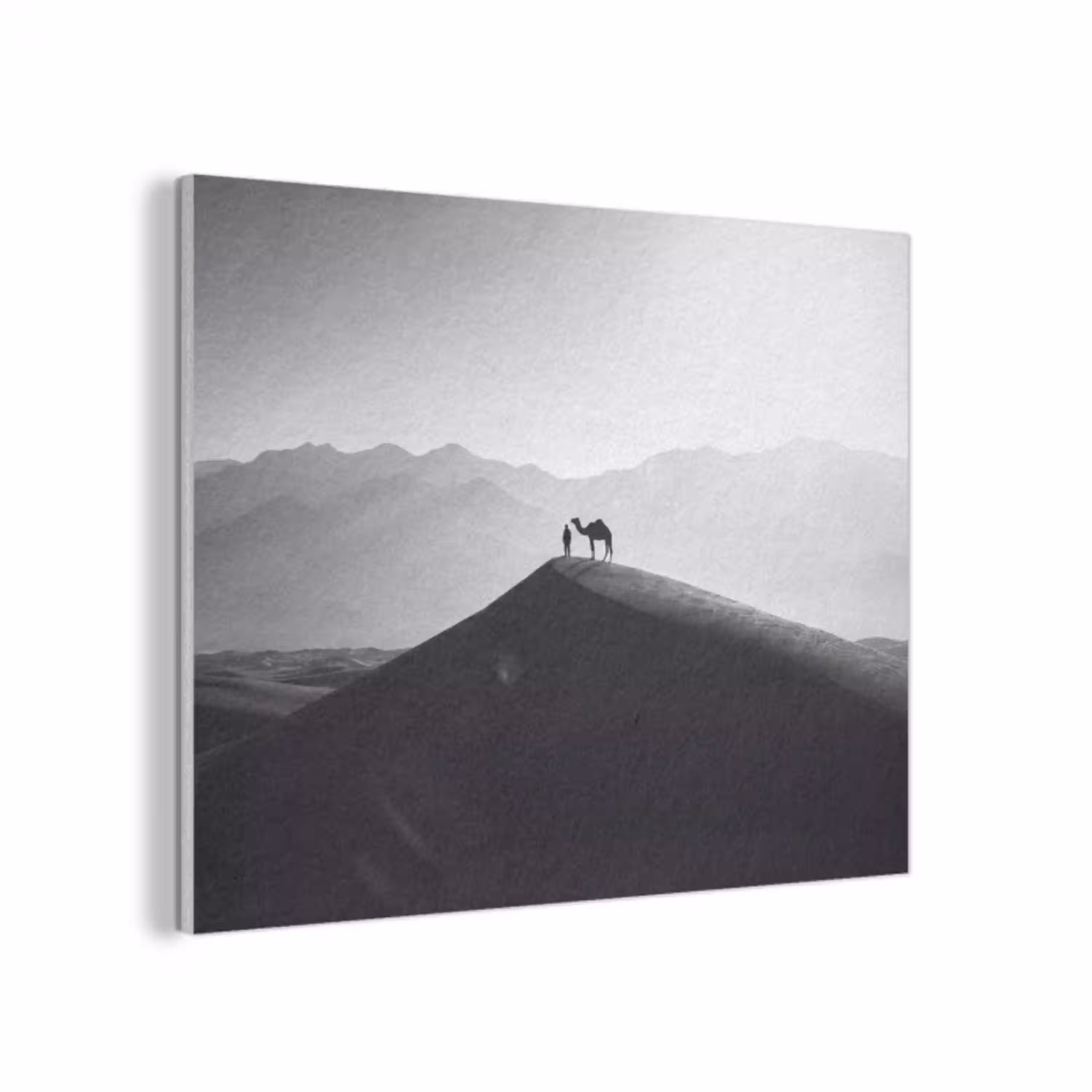 Mens - Kameel - Zandduin - Natuur - Monochroom PET vilt klein -3d