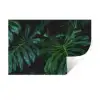 Monstera - Jungle - Bladeren Muursticker klein -3d