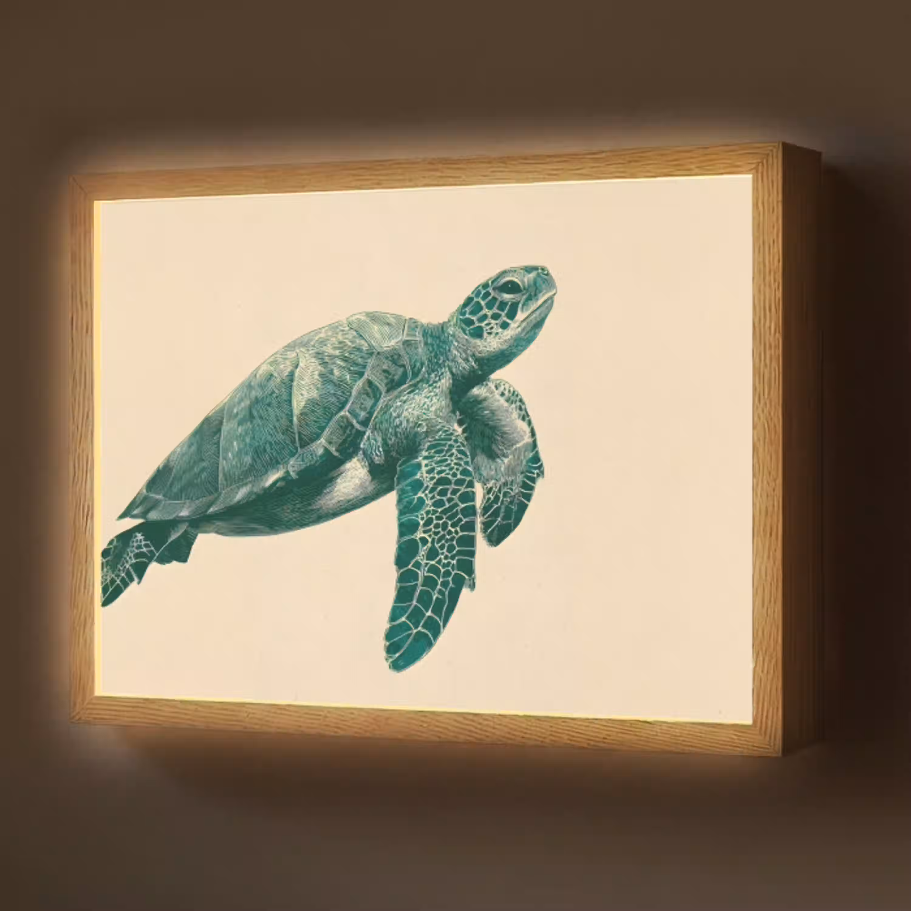 Schildpad - Sierlijk - Groen - Schild Light Box met batterij (Wandlamp) middel -z3d_website