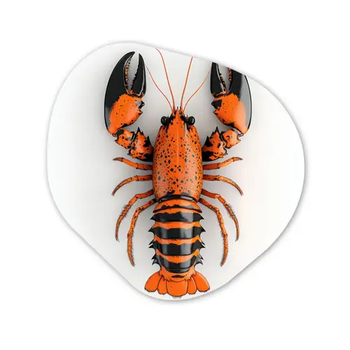 Kreeft - Zwart - Oranje - Wit - Uniek Wandcirkel Organisch Plexiglas middel -3d