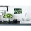 Bladeren - Tropisch - Jungle Muursticker klein -keuken