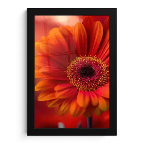 Oranje - Gerbera - Intens fotolijst zwart zonder passe partout klein -3d