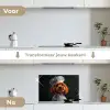 Bruin - Kok - Hondje keuken achterwand spatscherm klein -voor_na_NL